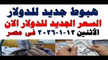 تحديثات البنوك المصرية.. أسعار العملات في تعاملات الأحد 11 يناير 2026 تميل للاستقرار